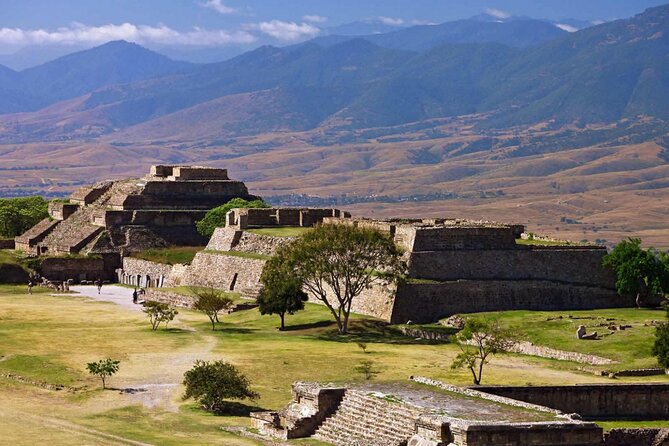 Half Day Tour to Monte Albán - Customer Feedback
