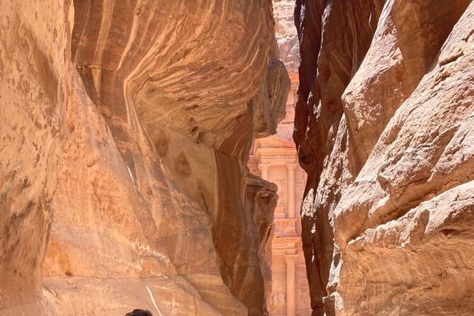 Half Day Tour to the Wonderful City of Petra - Breathtaking Views and Experiences