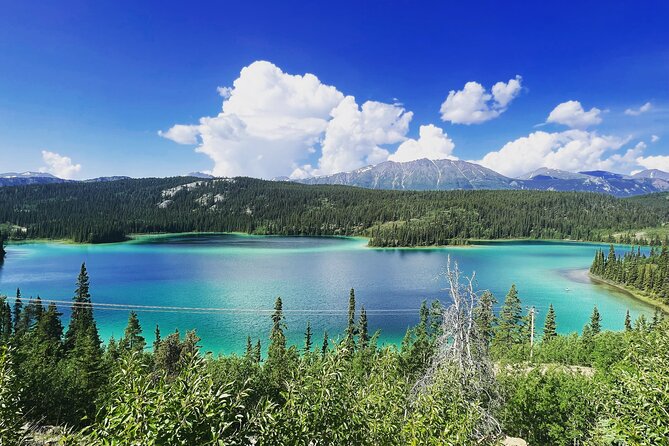 Half Day Tour to Yukon and Suspension Bridge - Booking Details