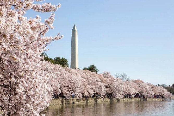 Half-Day Washington DC Bus Tour & Capitol Ground Access - Highlights of the Tour
