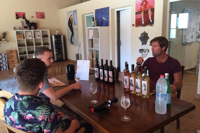 Half Day Wine Tour. Private Tour From Carcassonne and Around. - What to Expect
