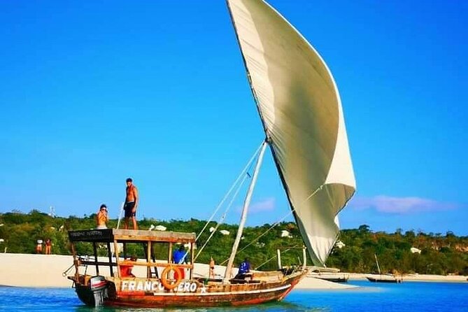 Half Day Zanzibar Mnemba Atoll Marine Reserve Snorkeling Tour - Marine Life Highlights