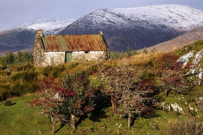 Haunted Bog Road Tour. Galway. Private Guided. 3 Hours - Mobile Ticketing Convenience