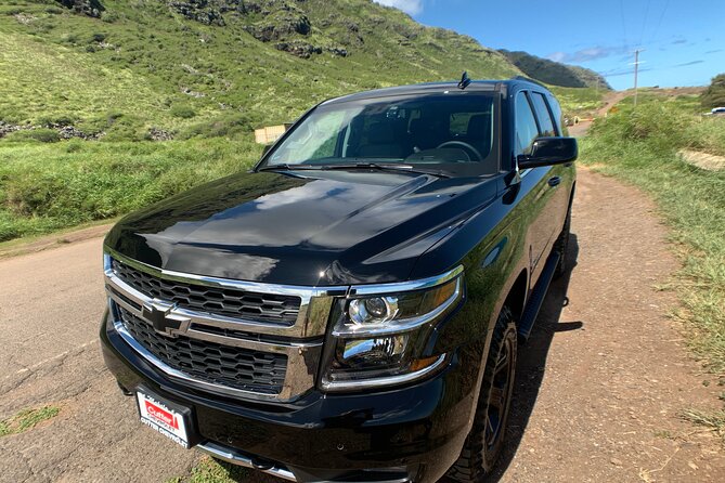 Hawaiian Cultural Tour Honolulu & Ka Iwi Coast! 4-Hour Private Luxury SUV! - What to Expect