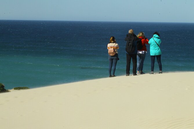 Hermanus Land Based Whale Tour With Dave De Beer - Accessibility and Inclusivity