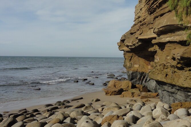 Hidden Nature Walks in the City Private Tour - Booking and Confirmation Process