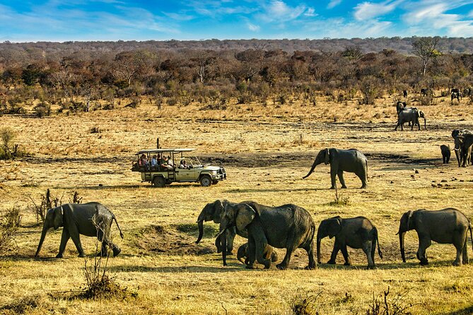 High Tea in the Savannah, Catering by Victoria Falls Hotel - Booking Information and Policies