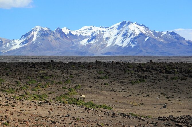 Hike - Trek Colca Canyon 2d/1n With Final in Puno - Itinerary and Daily Activities