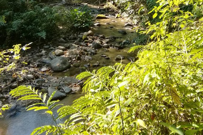 Hiking and Zipline Private Tour From Chiang With Karen Village - Pricing Details