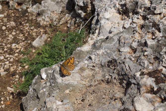 Hiking at the Best Hiking Trail: Peaks of the Balkans - Discovering Albanian Culture