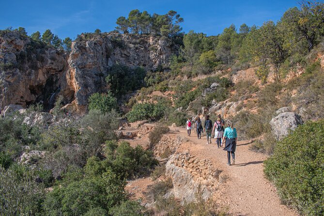 Hiking Experience Between Waterfalls in Buñol From Valencia - Hiking Trail Overview