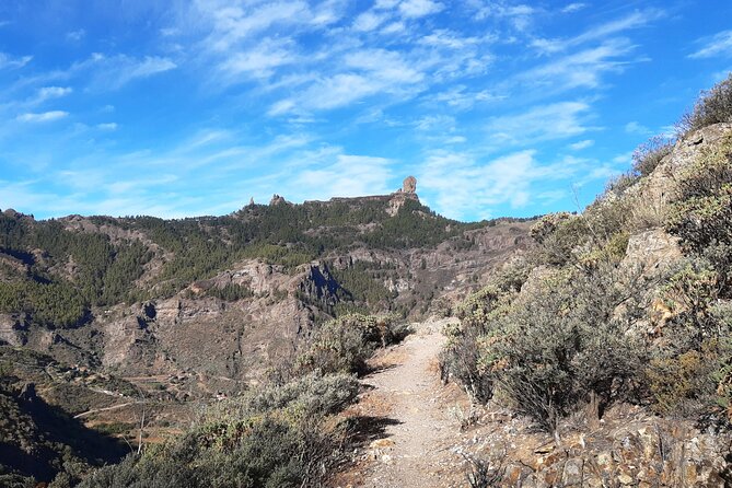 Hiking Experience in the North of Gran Canaria - Booking and Customer Support