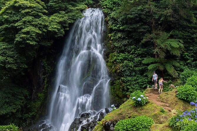 Hiking Faial Da Terra + Van Tour Nordeste - Flexible Booking and Cancellation