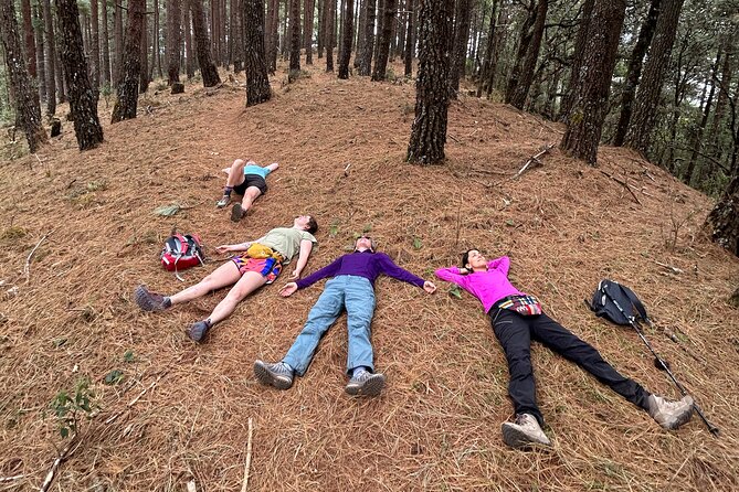 Hiking in the Sierra Norte of Oaxaca - Savoring Authentic Cuisine
