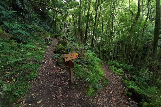 Hiking Tour Sanguinho Salto Do Prego Waterfall and Furnas - Tips for a Great Hiking Experience