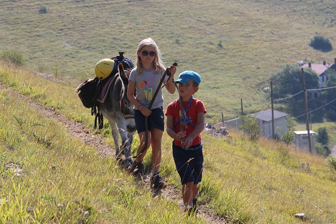 Hiking With Donkeys - Reflecting on the Journey