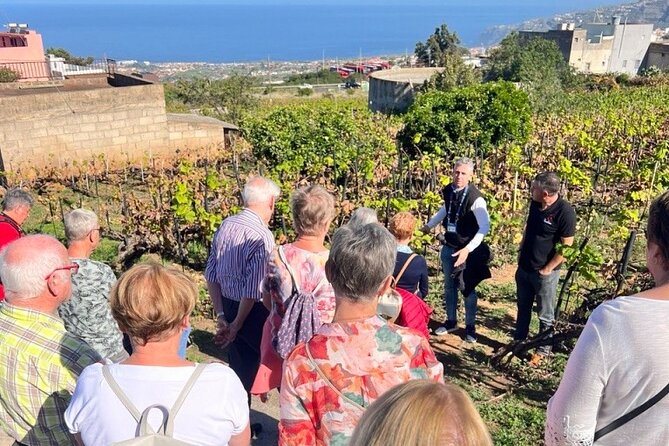 History and Tradition Tour of Local Products of La Orotava - Artisanal Interactions and Tastings