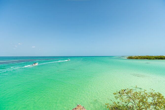 Holbox Island Tour From Playa Del Carmen - Discovering Passion Island