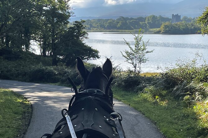 Horse-Drawn Carriage Tours in Killarney - Historical Commentary and Landmarks