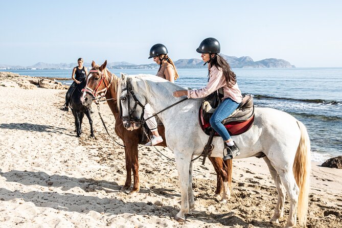 Horse Riding in Mallorca - Customer Reviews and Feedback