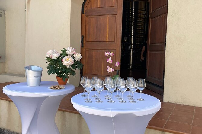 Horse Riding in the Vineyards of Ramatuelle + Wine Tasting - Reserving Your Spot