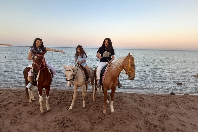 Horse Riding on the Beach and Desert 3 Hours From Hurghada - Transportation and Pickup Options