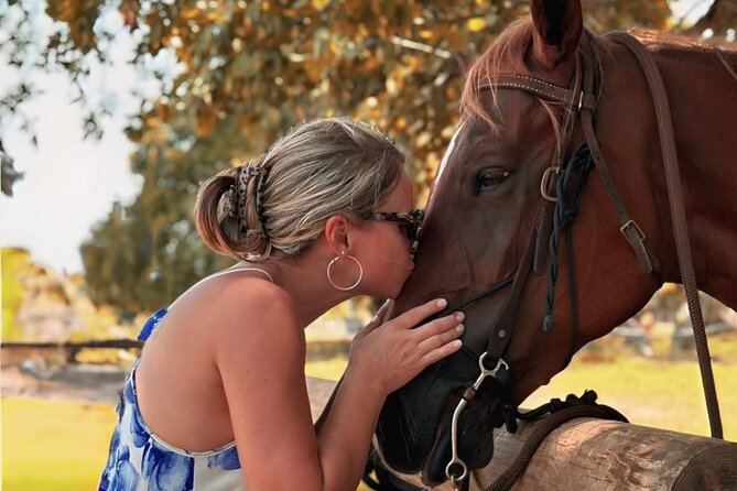 Horse Riding Tour at the Beach in Miami - Getting There