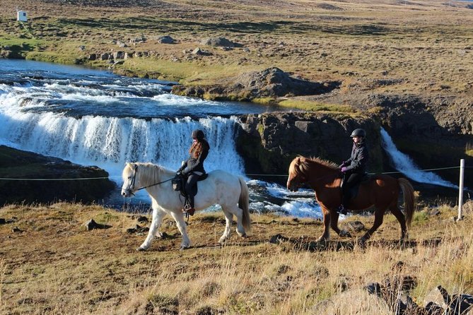 Horse Riding Tour to the Glacier River Delta With Waterfall - Gear and Refreshment Provisions
