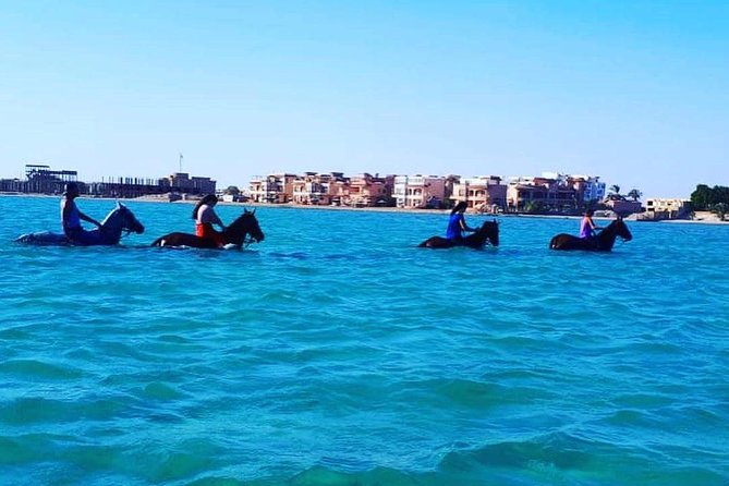Horse Riding Tour Two Hours Sun & Sea With Transfer - Hurghada - Additional Tour Information