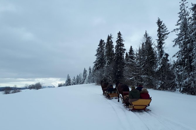 Horse Sleigh Ride in the Countyside and Thermal Pools in One Day, Private Tour - Exploring the Countryside