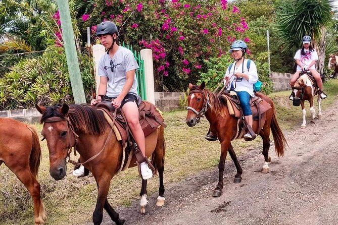 Horseback Riding, A Scenic Escape - Highlights of the Horseback Ride