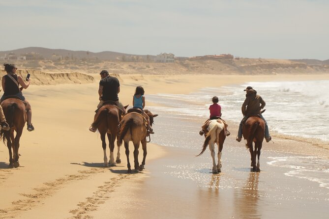 Horseback Riding Tour in Cabo San Lucas - Customer Reviews and Feedback