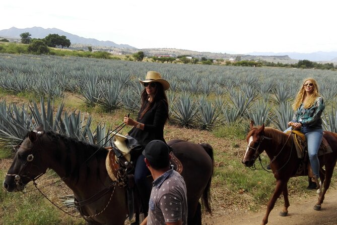 Horseback Riding Tour in the Agave Field With Lunch - Agave Landscape Exploration