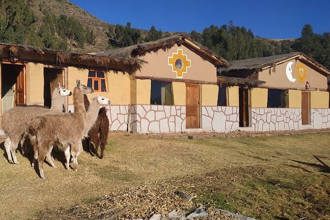 Huchuy Qosqo Trek and Machu Picchu 3 Days - Final Verdict On This Stay