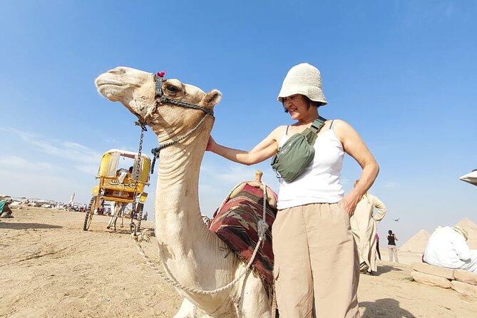 Hurghada to Giza Pyramids and Grand Egyptian Museum Private Tour - Customer Reviews and Feedback