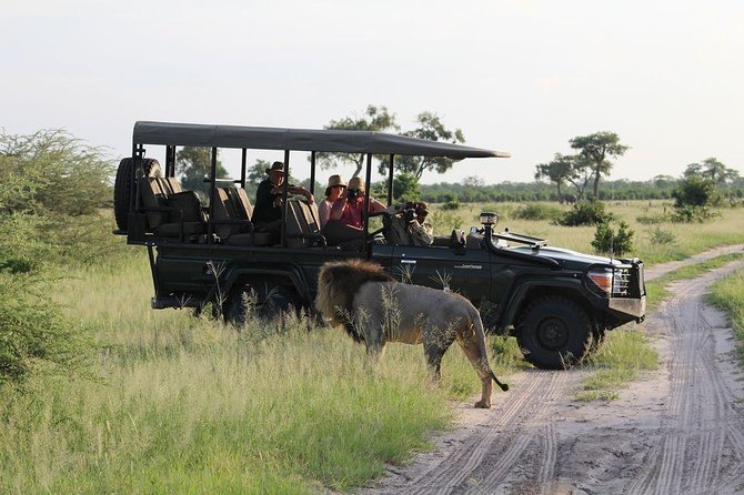 Hwange Day Trip - Tips for a Successful Trip