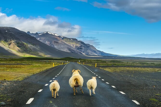 Iceland Stopover: South Shore Tour - Important Notes