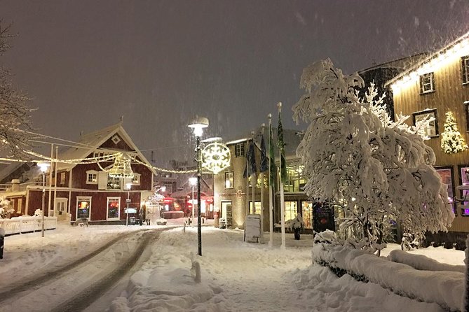 Icelands Christmas Myths and Traditions - Reykjavík Walking Tour - Customer Reviews