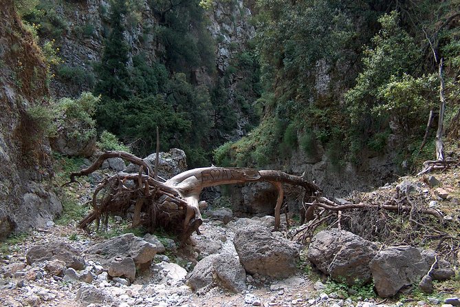 Imbros Gorge and Libyan Sea Day Tour From Rethymno - Whats Included and Excluded