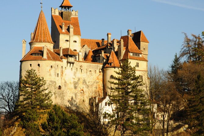 In Search of Dracula and the Teutons in Transylvania Full-Day Private Tour - Contact and Assistance