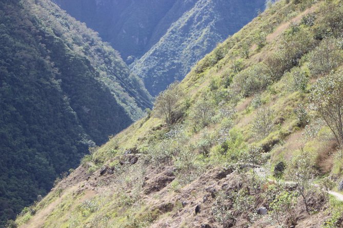 Inca Trail to Machu Picchu in 2 Days 1 Night From Cusco - Final Verdict On This Stay