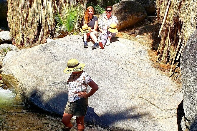 Indian Canyons Hiking Tour by Jeep From Palm Desert - Immerse in Natures Splendor
