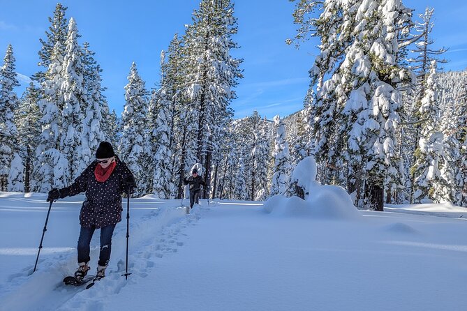 Introductory Snowshoe Shared Experience - Accessibility and Getting There