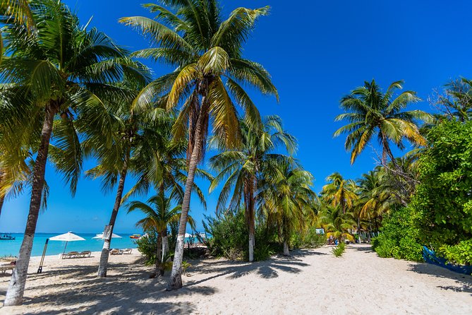 Isla Mujeres Catamaran, Open Bar & Optional Buffet and Pick up - Transportation and Logistics