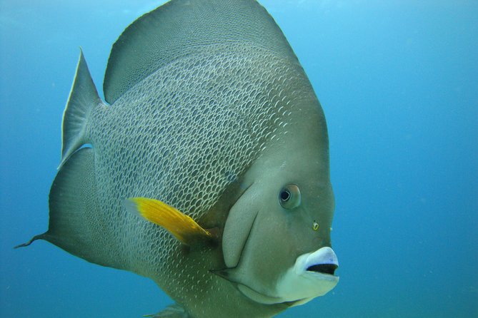 Isla Mujeres Snorkeling Tour - Isla Mujeres Exploration