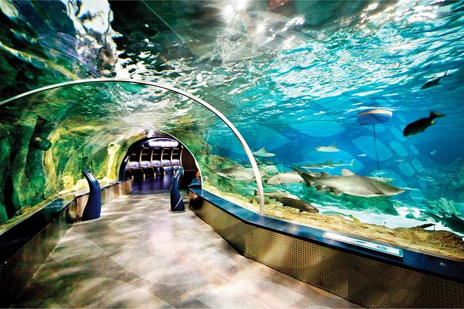Istanbul Aquarium and Aqua Florya Independent Shopping Trip - Transportation and Pickup
