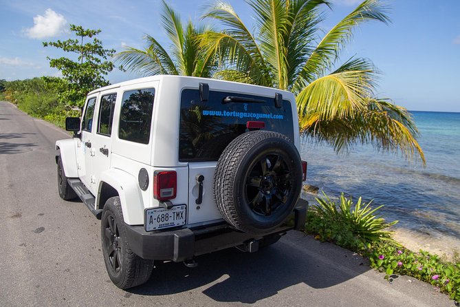 Jeep Exploration & All Inclusive Tortugas Beach Break (Private) - Jeep Exploration