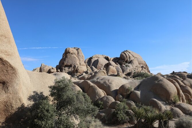 Joshua Tree National Park Driving Tour Review - Final Verdict On This Stay
