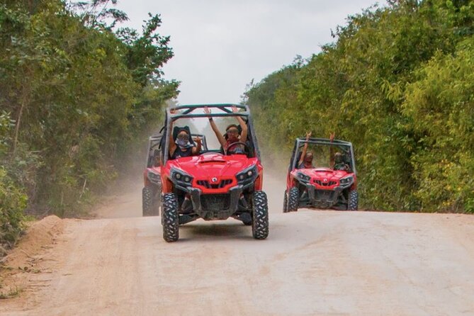 Jungle Buggy Tour From Playa Del Carmen Including Cenote Swim - Cenote Swimming and Snorkeling