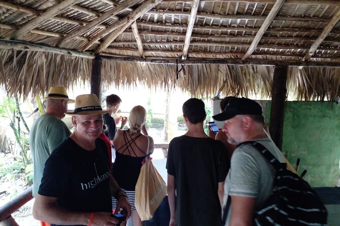 Jungle Safari Excursion - Exploring the Jungle Landscape